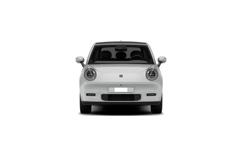 JAC E-30X LUXURY — 3